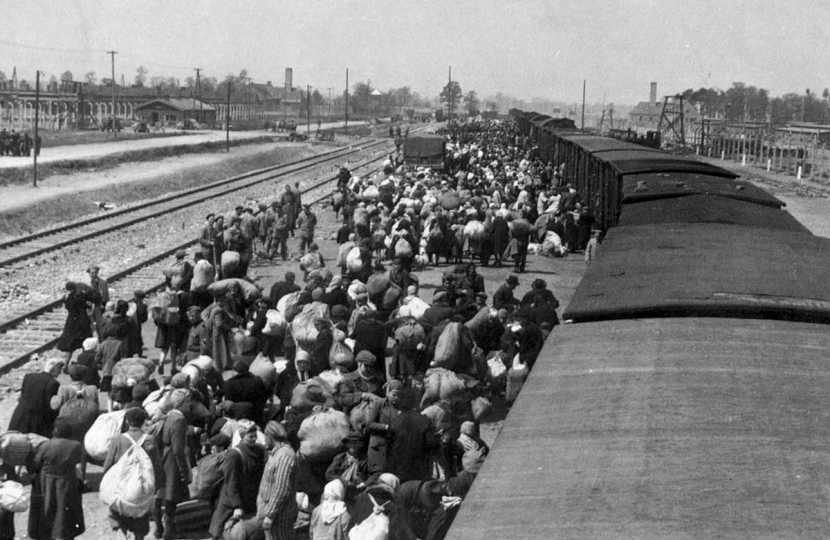 Auschwitz Train