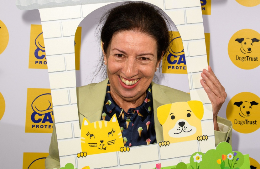 join Cats Protection and Dogs Trust to support the new Bill